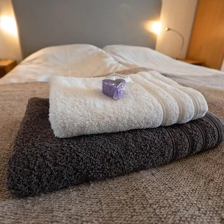 De Aanleg Zajazd De Cocksdorp (Texel)