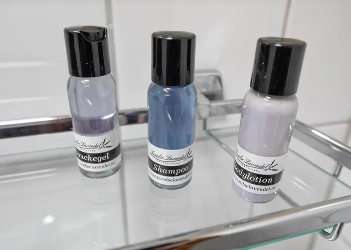 De Aanleg Mini-hôtel 3*