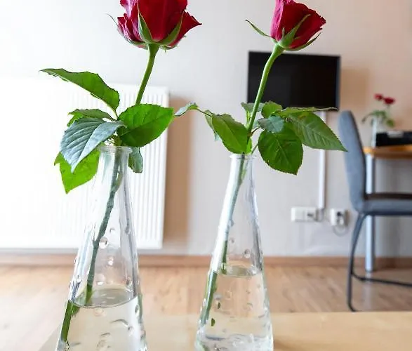 De Aanleg Mini-hôtel