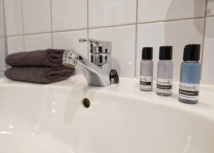 De Aanleg De Cocksdorp (Texel)