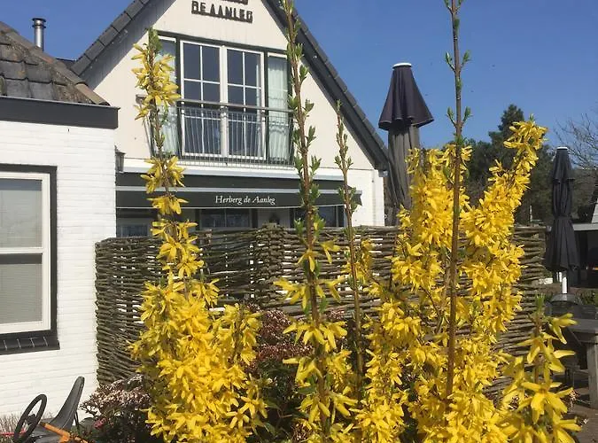 De Aanleg Mini-hôtel De Cocksdorp (Texel)